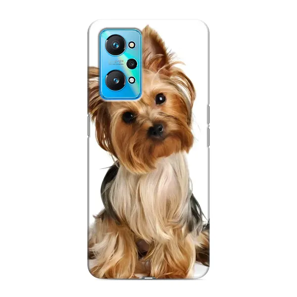 Чехол с рисунком «Собака Терьер» для Realme GT Neo 2