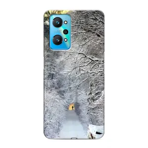 Чехлы на Новый Год Realme GT Neo 2 (Заметель)