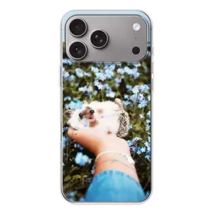 Чохли з зображенням різних тварин на Apple iPhone 18 Pro Max (Їжачок в руці)