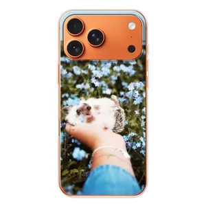 Чехлы с изображением разных животных для Apple iPhone 18 Pro (Ежик на руках)