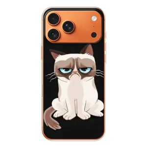 Чехол на тематику: Коты для Apple iPhone 18 Pro (Взгляд кота)