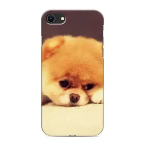 Чохол (ТПУ) Милі песики для iPhone 8 (Померанский шпіц)