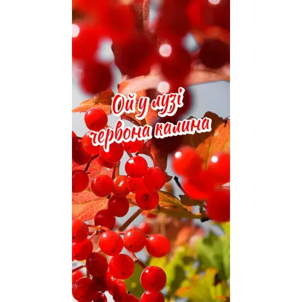 Чехол с рисунком «Червона Калина» для Samsung Galaxy A02