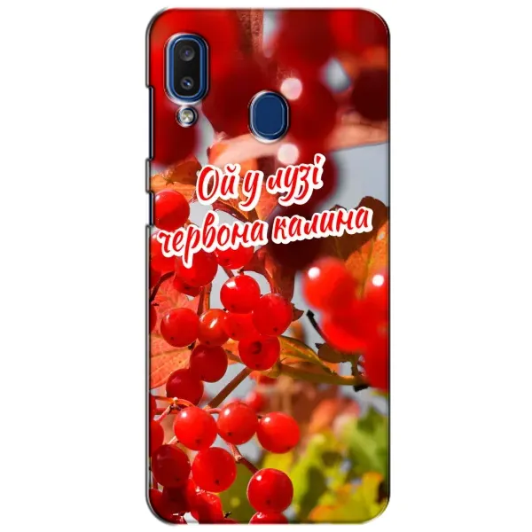 Чехол с рисунком «Червона Калина» для Samsung Galaxy a20 2019 (A205F) Чехол с рисунком «Червона Калина» для Samsung Galaxy a20 2019 (A205F)