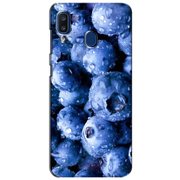 Чехол с рисунком «Голубика» для Samsung Galaxy a20 2019 (A205F) Чехол с рисунком «Голубика» для Samsung Galaxy a20 2019 (A205F)