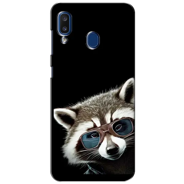 Чехол с рисунком «Стильный Енот» для Samsung Galaxy a20 2019 (A205F) Чехол с рисунком «Стильный Енот» для Samsung Galaxy a20 2019 (A205F)