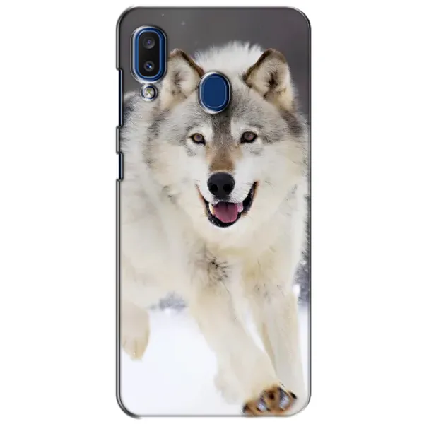 Чехол с рисунком «Волк на снегу» для Samsung Galaxy a20 2019 (A205F) Чехол с рисунком «Волк на снегу» для Samsung Galaxy a20 2019 (A205F)