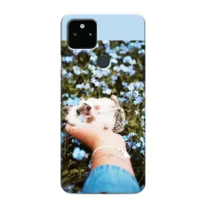 Чохли з зображенням різних тварин на Google Pixel 5 (Їжачок в руці)