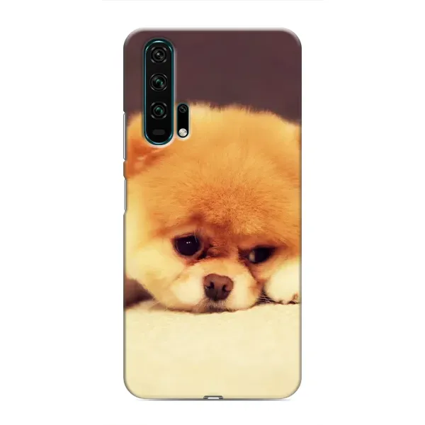 Чехол с рисунком «Померанский шпиц» для Huawei Honor 20 Pro Чехол с рисунком «Померанский шпиц» для Huawei Honor 20 Pro