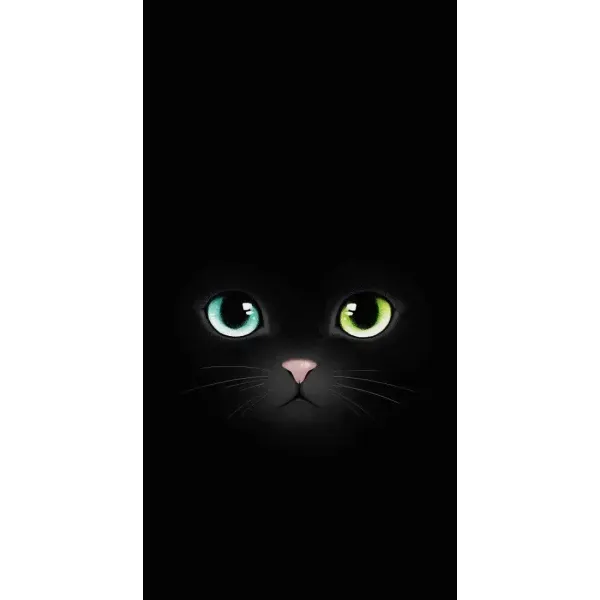 Чехол с рисунком «Черный Котик» для Huawei Honor Magic 5 Lite 5G Чехол с рисунком «Черный Котик» для Huawei Honor Magic 5 Lite 5G