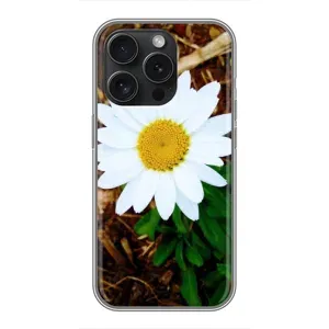Чехол с ромашками на Huawei Honor Play 60 Plus (Белая ромашка)