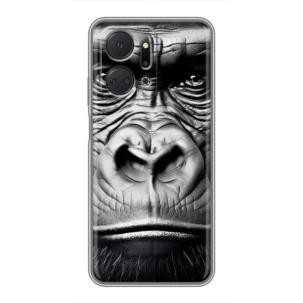 Чехол с рисунком «Черная обезьяна» для Huawei Honor X7a Чехол с рисунком «Черная обезьяна» для Huawei Honor X7a