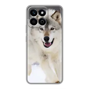 Чохол з Вовком на Huawei Honor X7c (Вовк біжить по снігу)