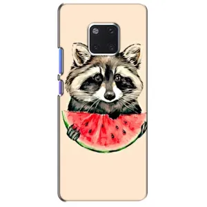 Силиконовый Чехол с Енотами на Huawei Mate 20 Pro, LYa-l09, LYA-L29 (Енот)