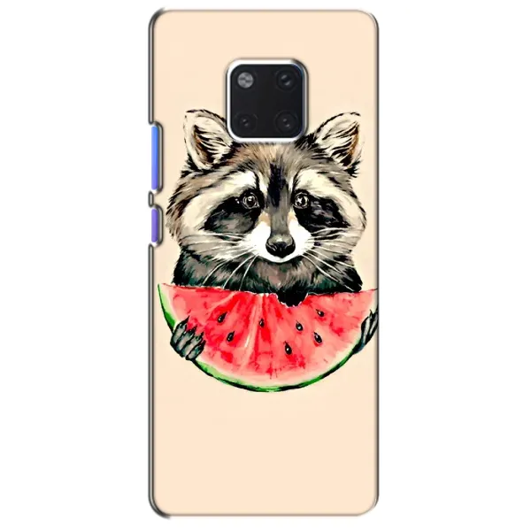 Чехол с рисунком «Енот» для Huawei Mate 20 Pro (LYA-L09, LYA-L29) Чехол с рисунком «Енот» для Huawei Mate 20 Pro (LYA-L09, LYA-L29)