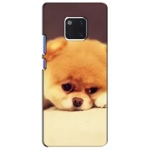 Чехол (ТПУ) Милые собачки для Huawei Mate 20 Pro, LYa-l09, LYA-L29 (Померанский шпиц)
