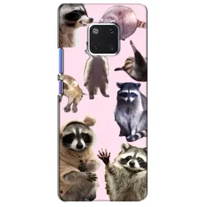 Силиконовый Чехол с Енотами на Huawei Mate 20 Pro, LYa-l09, LYA-L29 (Смешные Еноты)