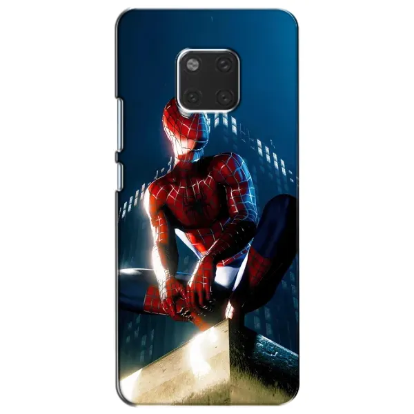 Чехол с рисунком «Паук на доме» для Huawei Mate 20 (HMA-L09, HMA-L29) Чехол с рисунком «Паук на доме» для Huawei Mate 20 (HMA-L09, HMA-L29)
