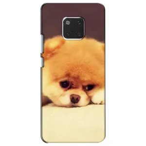 Чохол (ТПУ) Милі песики для Huawei Mate 20, HMA-L09, HMA-L29 (Померанский шпіц)
