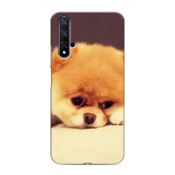 Чехол с рисунком «Померанский шпиц» для Huawei Nova 5T Чехол с рисунком «Померанский шпиц» для Huawei Nova 5T
