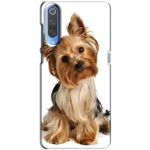 Чохол (ТПУ) Милі песики для Huawei P Smart 2020 (Пес Терьєр)