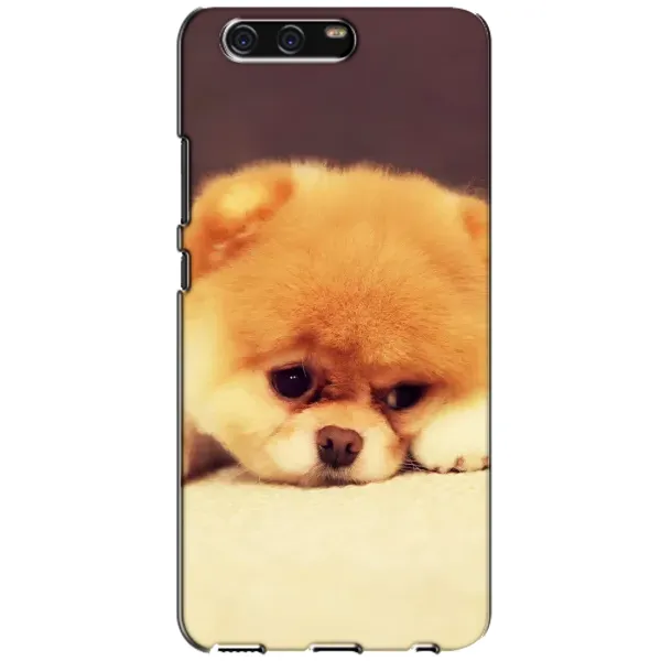 Чехол с рисунком «Померанский шпиц» для Huawei P10 (VTR) Чехол с рисунком «Померанский шпиц» для Huawei P10 (VTR)