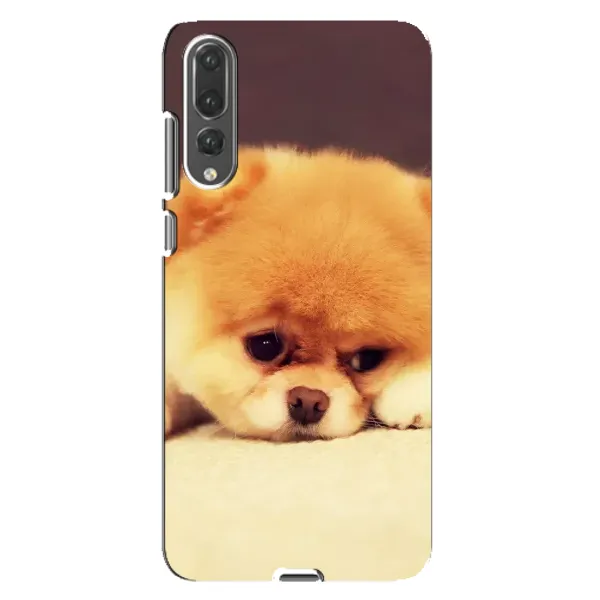 Чехол с рисунком «Померанский шпиц» для Huawei P20 Pro (CLT-L04) Чехол с рисунком «Померанский шпиц» для Huawei P20 Pro (CLT-L04)