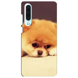 Чехол (ТПУ) Милые собачки для Huawei P30 (Померанский шпиц)
