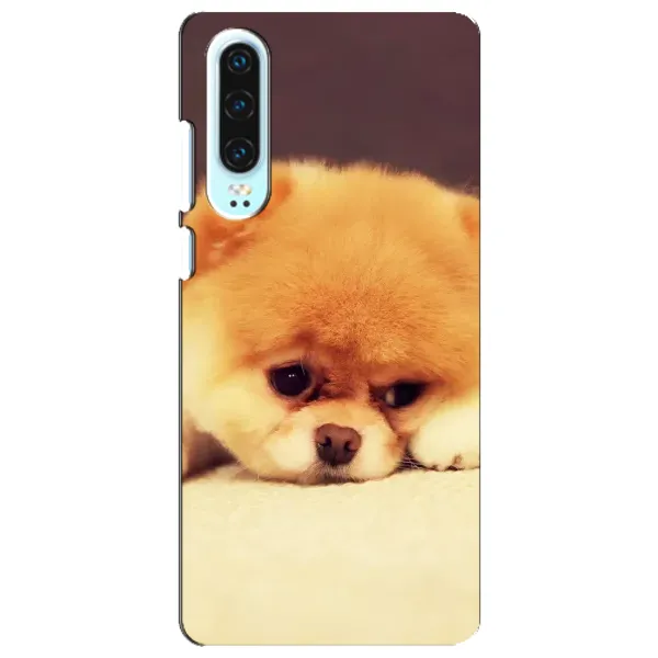 Чехол с рисунком «Померанский шпиц» для Huawei P30 Чехол с рисунком «Померанский шпиц» для Huawei P30