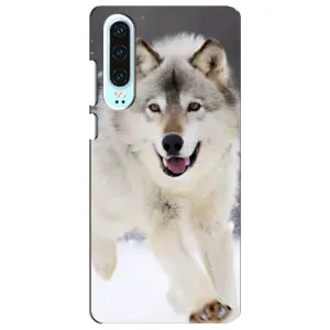 Чехол с Волком на Huawei P30 (Волк на снегу)