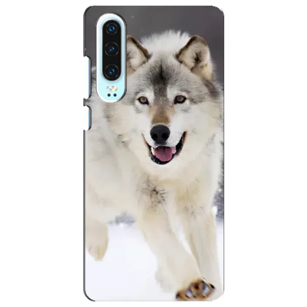 Чехол с рисунком «Волк на снегу» для Huawei P30 Чехол с рисунком «Волк на снегу» для Huawei P30