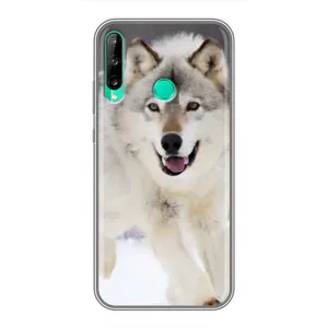 Чехол с Волком на Huawei P40 Lite e (Волк на снегу)
