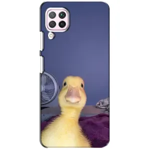 Бампер з принтом Меми для Huawei P40 Lite (Качка)
