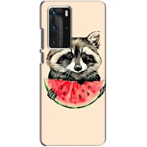 Силіконовий Чохол з Энотами на Huawei P40 Pro (Єнот)