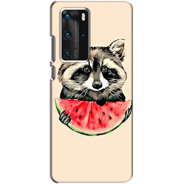 Чехол с рисунком «Енот» для Huawei P40 Pro Чехол с рисунком «Енот» для Huawei P40 Pro