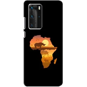 Летний Чехол на Huawei P40 Pro (Карта)