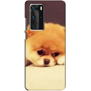 Чехол (ТПУ) Милые собачки для Huawei P40 Pro (Померанский шпиц)