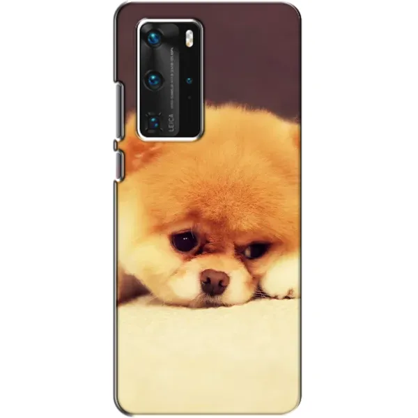 Чехол с рисунком «Померанский шпиц» для Huawei P40 Pro Чехол с рисунком «Померанский шпиц» для Huawei P40 Pro