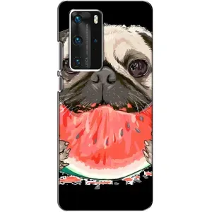 Чехол (ТПУ) Милые собачки для Huawei P40 Pro (Смешной Мопс)