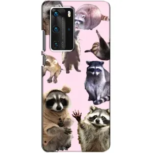 Силіконовий Чохол з Энотами на Huawei P40 Pro (Смішні Єноти)