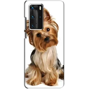 Чехол (ТПУ) Милые собачки для Huawei P40 Pro (Собака Терьер)