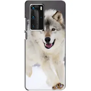 Чехол с Волком на Huawei P40 Pro (Волк на снегу)