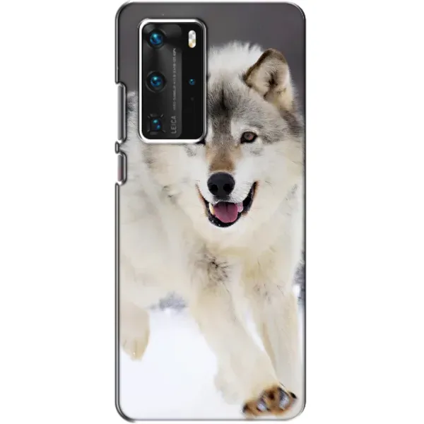 Чехол с рисунком «Волк на снегу» для Huawei P40 Pro Чехол с рисунком «Волк на снегу» для Huawei P40 Pro