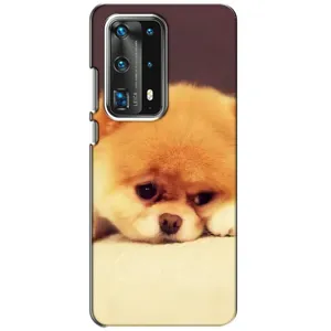 Чохол (ТПУ) Милі песики для Huawei P40 (Померанский шпіц)
