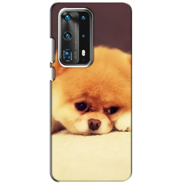 Чехол с рисунком «Померанский шпиц» для Huawei P40 Чехол с рисунком «Померанский шпиц» для Huawei P40