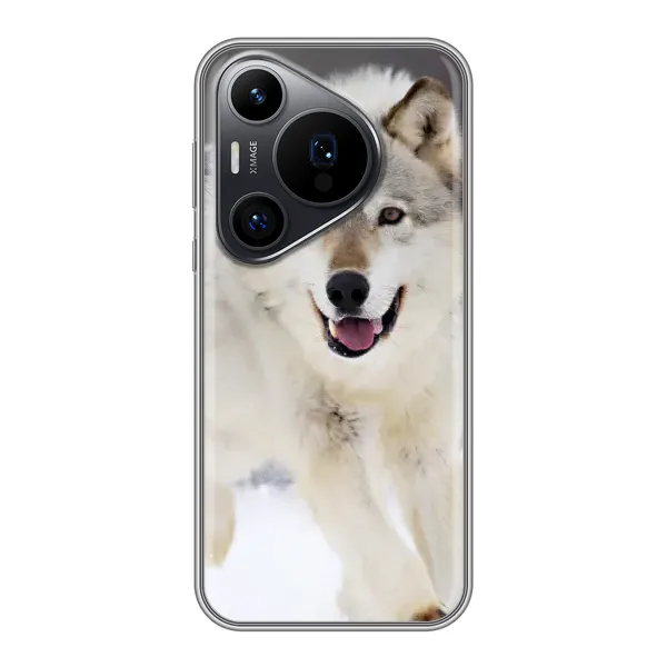 Чехол с рисунком «Волк на снегу» для Huawei Pura 70 PRO