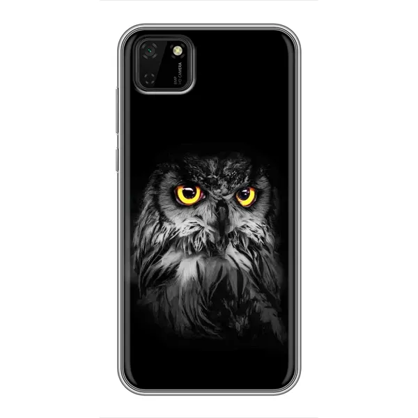 Чехол с рисунком «Сова на чёрном» для Huawei Y5p