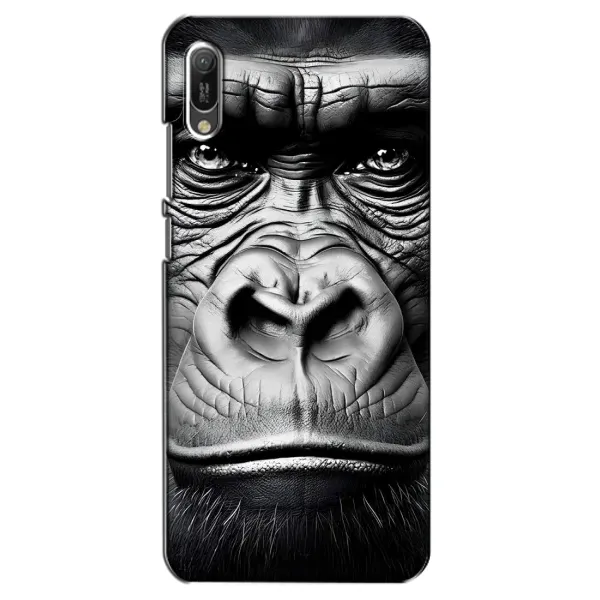 Чехол с рисунком «Черная обезьяна» для Huawei Y6 2019 Чехол с рисунком «Черная обезьяна» для Huawei Y6 2019