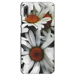 Чехол с ромашками на Huawei Y6 2019 (Цветы Ромашки)