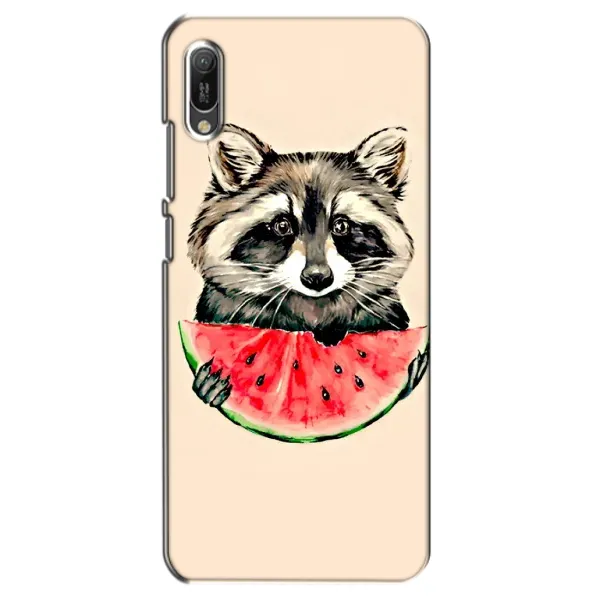 Чехол с рисунком «Енот» для Huawei Y6 2019 Чехол с рисунком «Енот» для Huawei Y6 2019